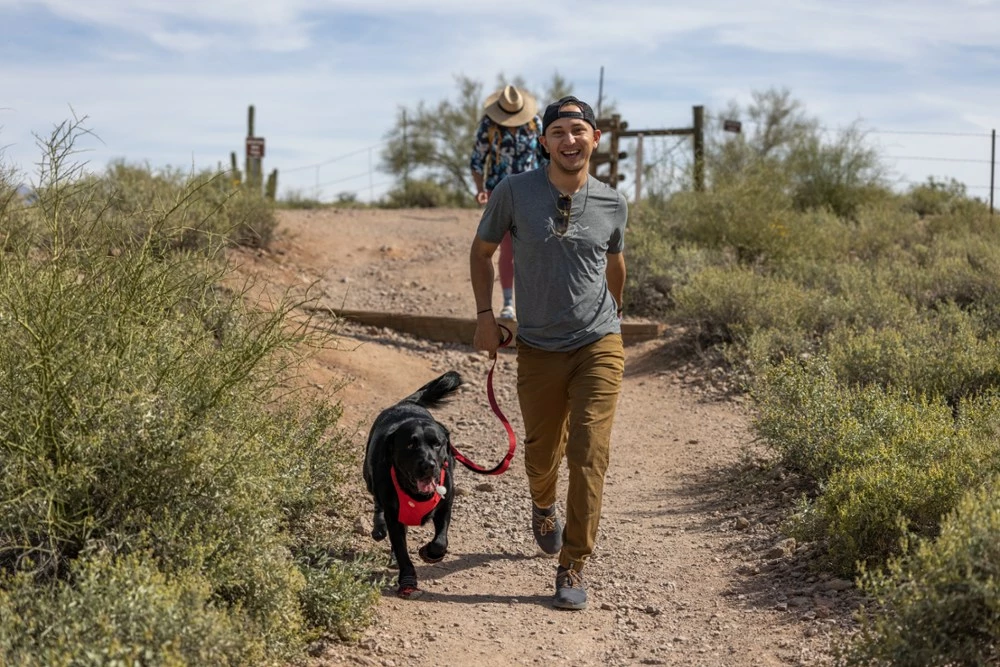 REI Co-op Beyonder Shoes - Men's - Image 10